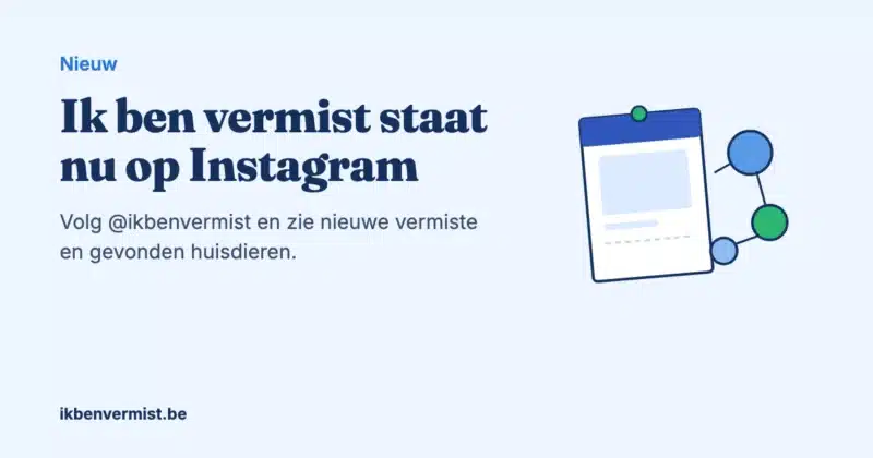 Ik ben vermist staat nu op Instagram: volg @ikbenvermist voor nieuwe vermiste en gevonden huisdieren