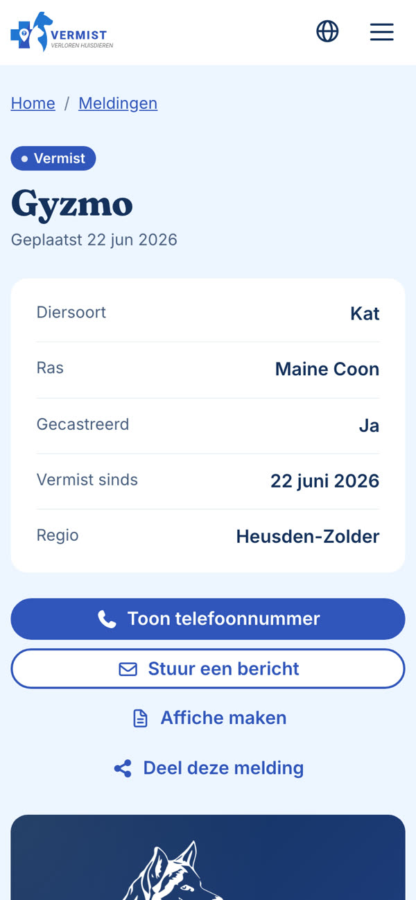 Meldingspagina, gsm
